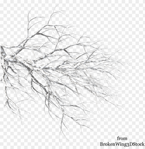 svg download winter tree by brokenwing dstock on deviantart - winter tree branch HD transparent PNG