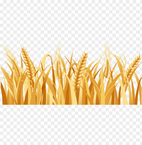 svg freeuse library barley vector head - wheat Clear PNG pictures compilation