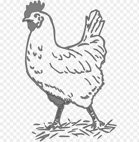 svg freeuse gray hen clip art at clker com - black and white chicken clip art Transparent PNG images complete library