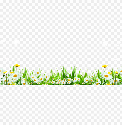 svg library flower download icon cute flowers roadside - grass daisy transparent Isolated Element in HighQuality PNG