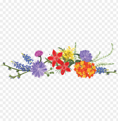 svg royalty free texas wildflower vodka - flower Clear background PNG images diverse assortment