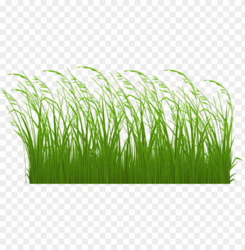swamp vector grass clipart royalty free library - tall grass clipart PNG with Isolated Transparency
