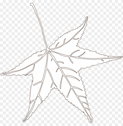 sweetgum - maple leaf Isolated Element on Transparent PNG PNG transparent with Clear Background ID f4ab2903