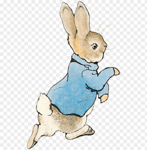 swipe across or scroll down to discover more about - pierre lapin book PNG photo PNG transparent with Clear Background ID 2b82c53c