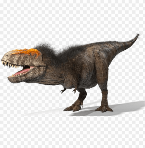 t rex clipart - real t rex PNG images with transparent space