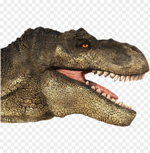 t rex transparent images - t rex head Free download PNG with alpha channel