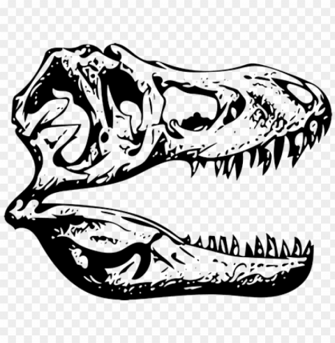 t-rex tyrannosaurus fossil dinosaur - illustratio PNG files with alpha channel