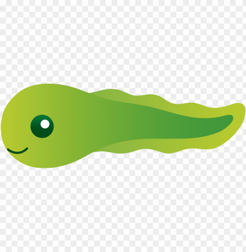 tadpole clipart sad - tadpole clipart PNG transparent images for printing