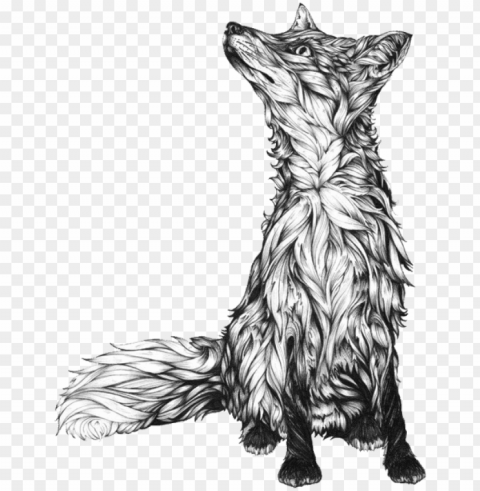 Tattoo Drawing Illustration Idea Download Hq - Black And White Fox Drawi Isolated Object With Transparent Background In PNG