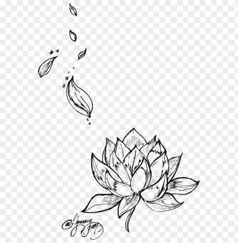 tattoo flower nelumbo nucifera lotus egyptian drawing - rose petals tattoo designs High-quality transparent PNG images