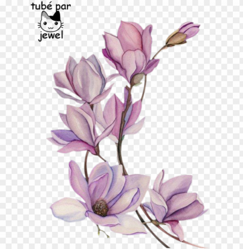 tattoo flower watercolour watercolor flowers painting - flor de magnolia tatuaje PNG pictures with no background required
