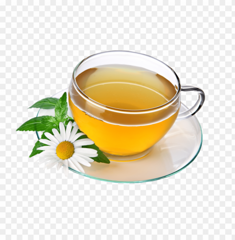 tea Clear Background Isolated PNG Object