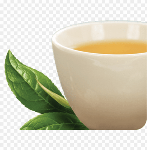 tea Clear Background PNG Isolated Element Detail