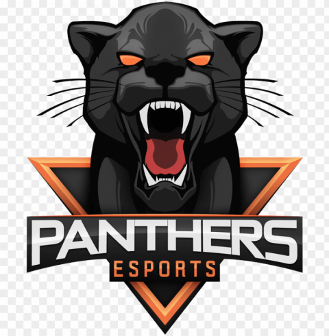 team's logo panthers esports - panthers esports Transparent PNG images free download