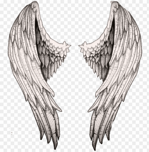 técnicas de dibujo dibujo cuerpo manos dibujo acuarela - alas de angeles dibujo a lapiz Isolated Object with Transparent Background PNG
