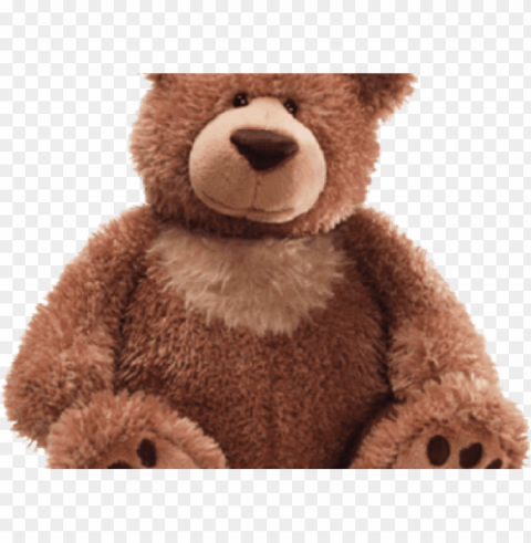 teddy bear images - teddy bear Isolated Subject in Clear Transparent PNG