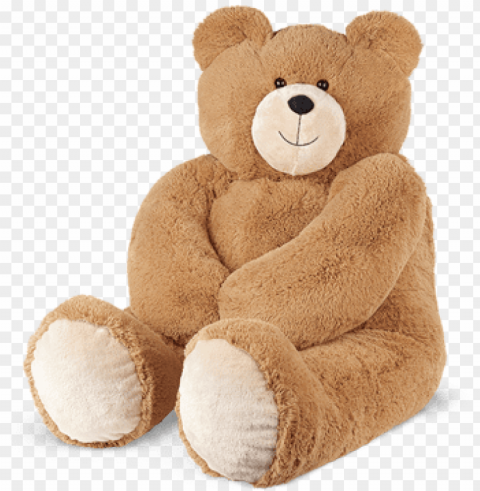 teddy bear - vermont state teddy bear PNG Graphic Isolated on Transparent Background