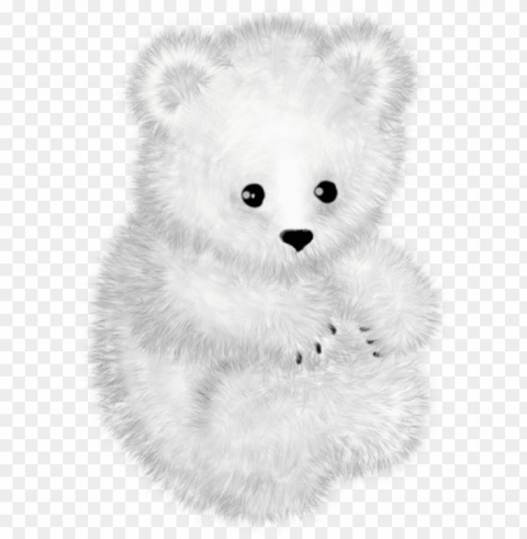 teddy bear - teddy bear Isolated Design Element on PNG
