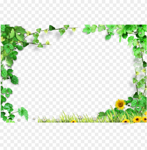 template green leaves frame - green leaves background Free PNG download