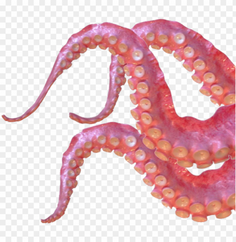 tentacles sticker - giant pacific octopus PNG transparent photos extensive collection