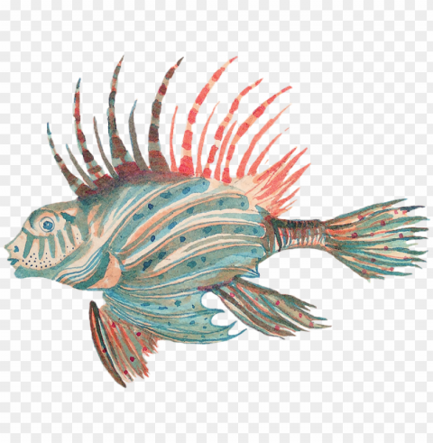 terois - lionfish Transparent Background PNG Isolated Element