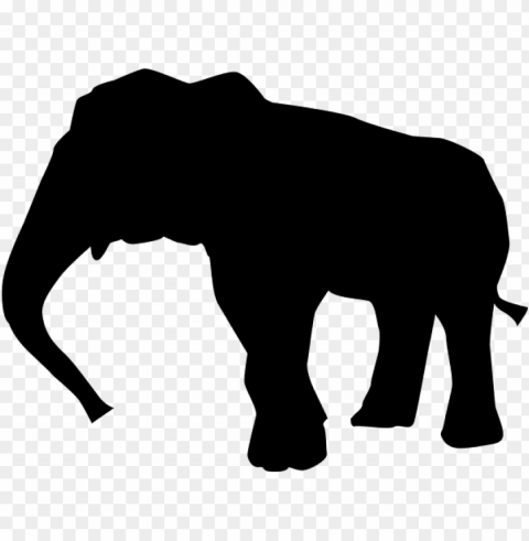 thailand elephant PNG graphics for presentations PNG transparent with Clear Background ID a60d5630