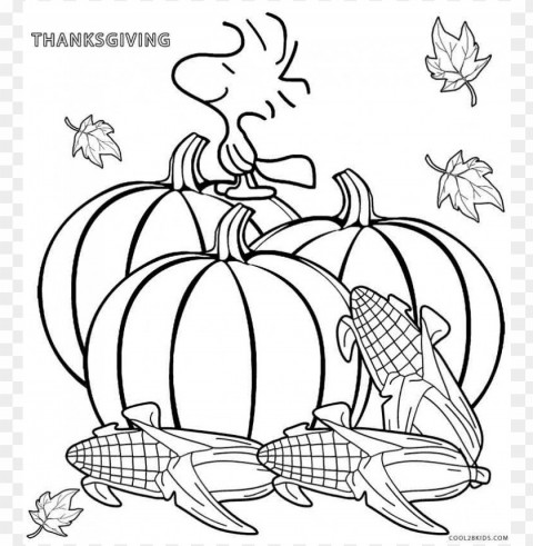 Thanksgiving Coloring Pages Color PNG Without Background