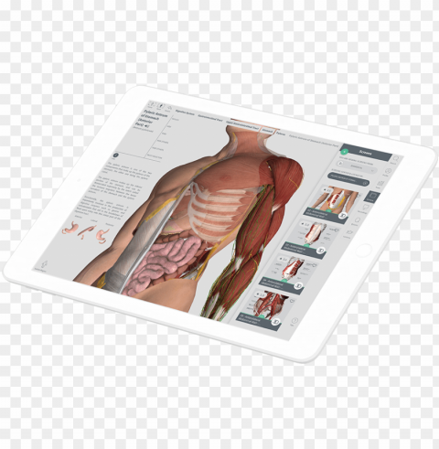 the 3d4medical student ambassador program gives you - illustratio Isolated Character in Transparent Background PNG