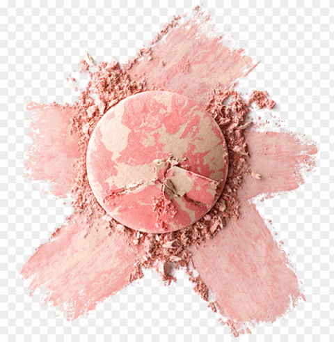 the art of blushing - garden roses Free PNG download