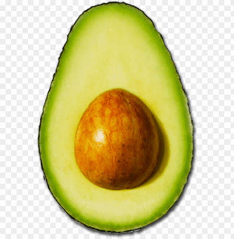 the avocado - aguacate PNG for online use