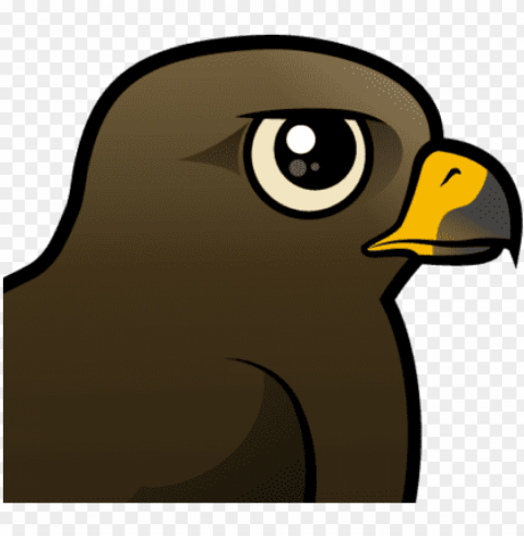 the black kite is a widespread species throughout the - black kite PNG clipart