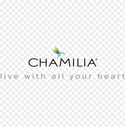 the chamilia story isn't just our story - genuine chamilia 925 sterling silver & swarovski PNG no background free