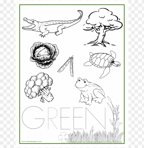 the color green coloring pages PNG Isolated Illustration with Clarity