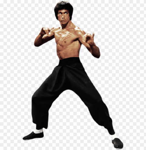 the dragon fight by gdsfgs bruce lee photos brandon - free transparent bruce lee PNG high quality PNG transparent with Clear Background ID 3f88a436