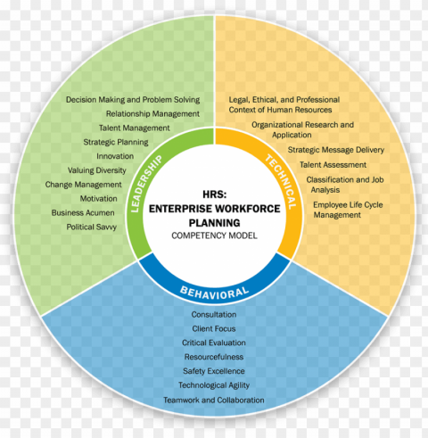 the enterprise workforce planning competency model - human resource strategies to manage workforce diversity PNG transparent design diverse assortment