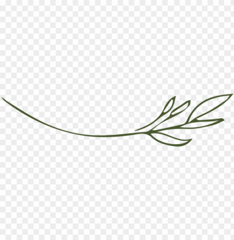 the fresh bloom twig-moss PNG Image with Transparent Background Isolation