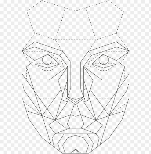 the golden ratio in graphic - perfect female face template PNG images with transparent elements