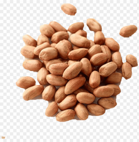 the groundnut belongs to the pea and bean family and - almond HighResolution Isolated PNG Image
