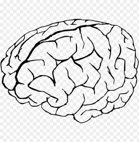 the human brain coloring book - brain coloring page Free transparent PNG