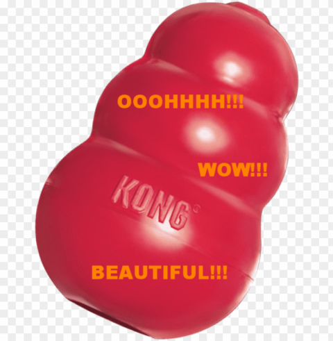 the kong company has not paid me for this glowing recommendation - plastic PNG Image with Clear Isolation