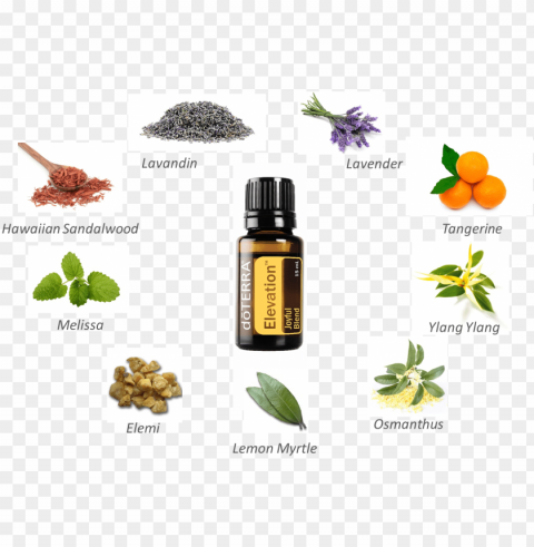 the most common way that i use this oil is in a diffuser - doterra essential oils - lavender 15ml Transparent Background PNG Isolated Icon