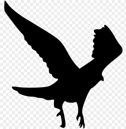 the outline of the eagle - raven bird silhouette HighQuality Transparent PNG Object Isolation