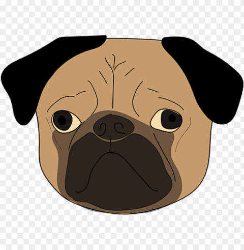 the pug puppy dog cute animal dog dog dog - dog face background Isolated Item in HighQuality Transparent PNG