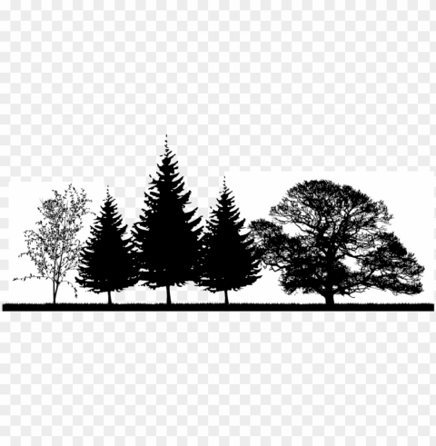 the right tree in the right place can help provide - oak tree silhouette PNG picture