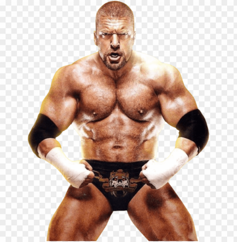 the - triple h no Transparent Background PNG Isolated Illustration