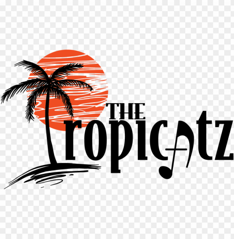 the tropicatzbr - palm tree in the sunset shower curtai Isolated Element with Clear PNG Background PNG transparent with Clear Background ID c10d33a6