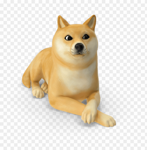 the world through animal - shiba inu High-resolution PNG images with transparency wide set