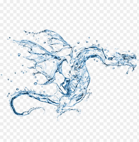the year of the yang water dragon - chinese water dragon symbol Isolated Item in HighQuality Transparent PNG