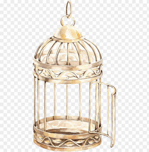 this backgrounds is delicate bird cage - bird cage PNG Graphic Isolated on Transparent Background