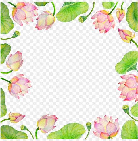 this backgrounds is hand painted light pink lotus - portable network graphics Clear Background PNG Isolated Design